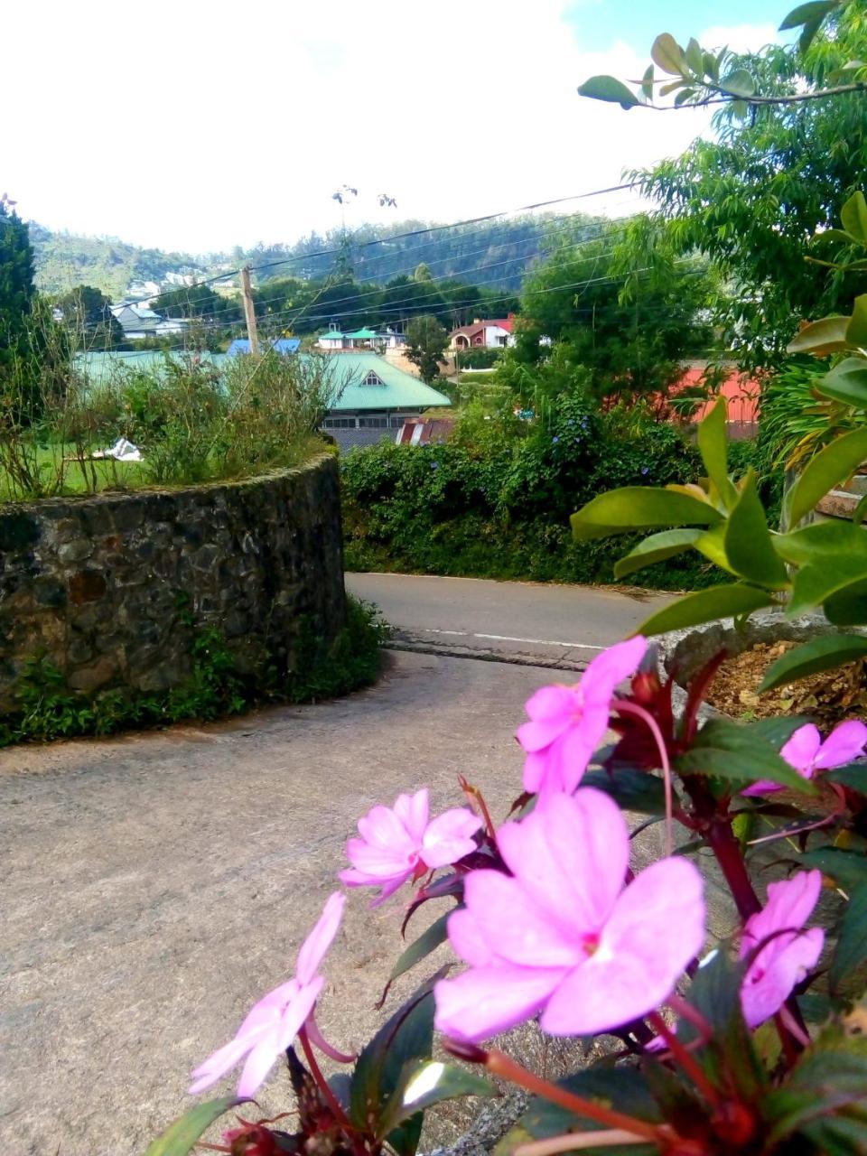 Nuwara Eliya Mountain View Homestay מראה חיצוני תמונה