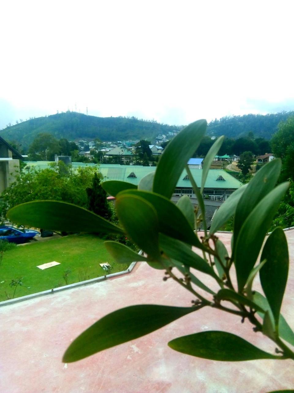 Nuwara Eliya Mountain View Homestay מראה חיצוני תמונה