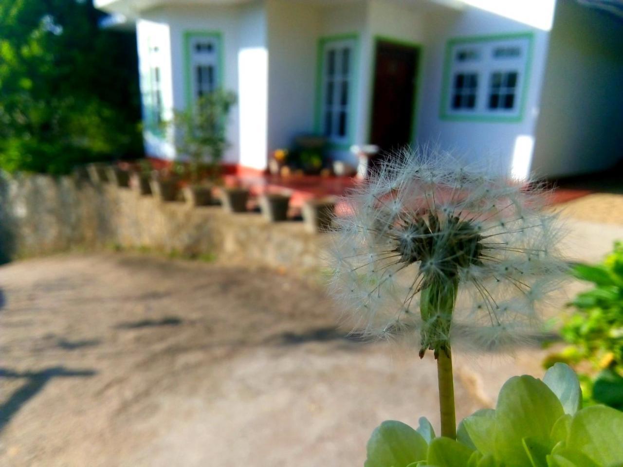 Nuwara Eliya Mountain View Homestay מראה חיצוני תמונה