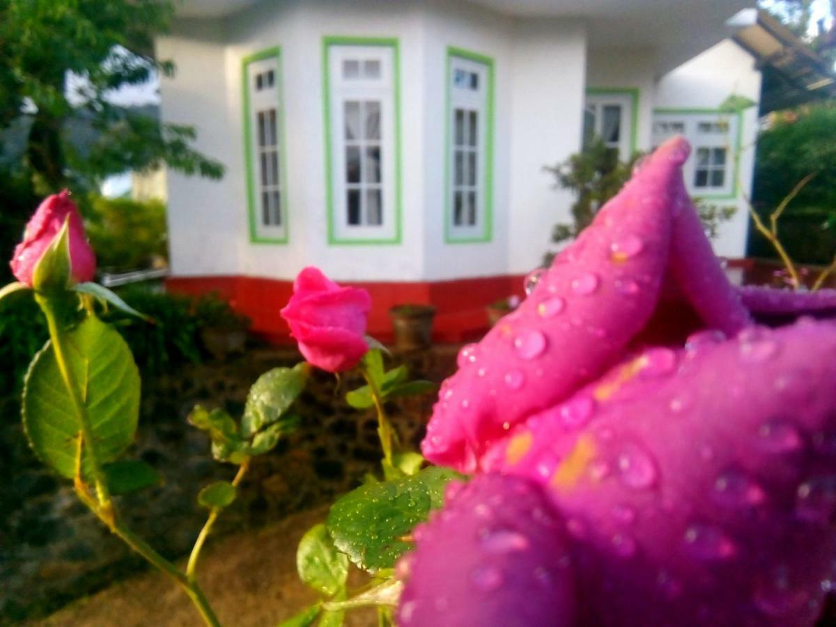 Nuwara Eliya Mountain View Homestay מראה חיצוני תמונה