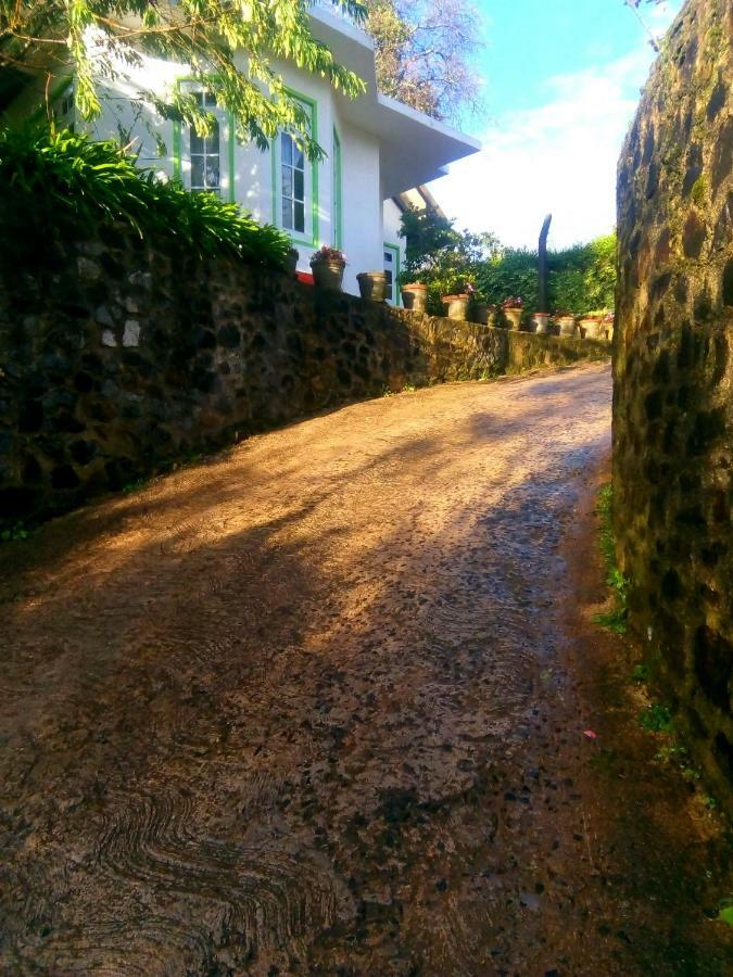 Nuwara Eliya Mountain View Homestay מראה חיצוני תמונה